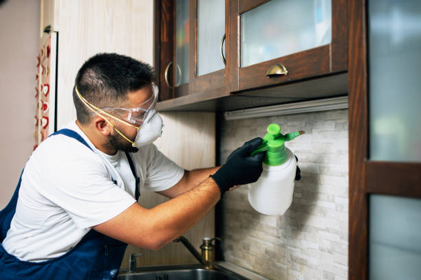 Best Local Pest Control Services  in Temple Hills, MD