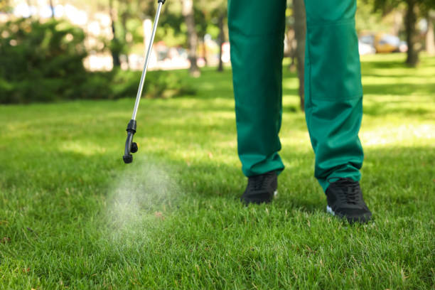Best Best Pest Control Companies  in Temple Hills, MD