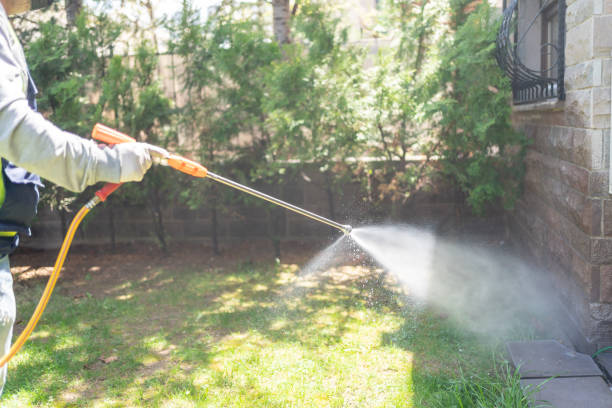Best Commercial Pest Control Services  in Temple Hills, MD