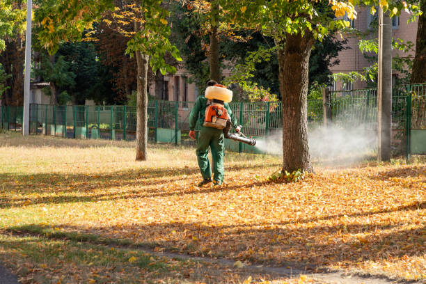 Best Flea Control Services  in Temple Hills, MD
