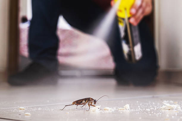 Pest Prevention Services in Temple Hills, MD