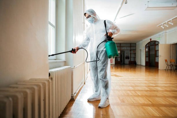 Best Termite Control Services  in Temple Hills, MD