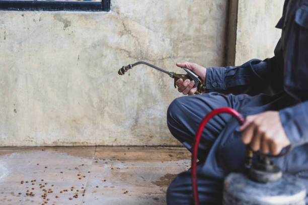 Best Commercial Pest Control Services  in Temple Hills, MD
